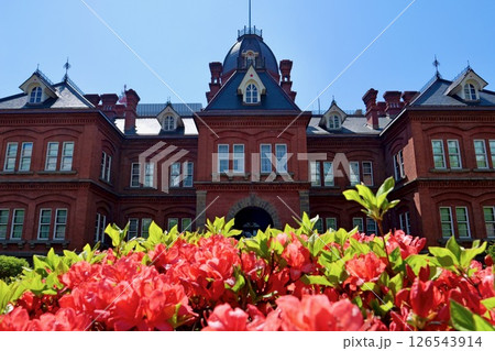 「赤レンガ庁舎」をバックに鮮やかに咲く「ツツジ」 126543914