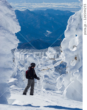 樹氷の森の中を滑り降りる人 (山形県、蔵王温泉スキー場、樹氷原) 126544255