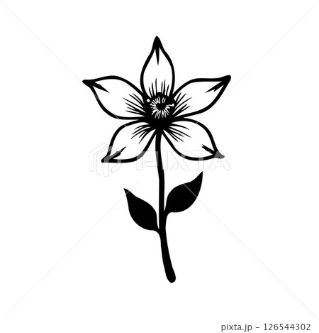 Delicate botanical illustration of a blooming flower with intricate details 126544302