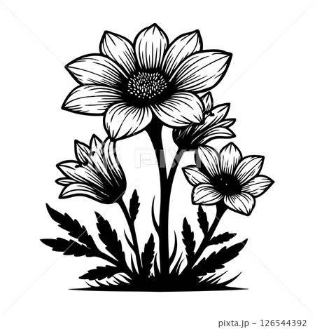 Elegant floral composition showcasing intricate line work and striking contrast Elegant floral composition showcasing intricate line work and striking contrast 126544392