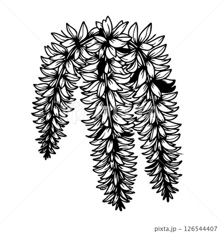 Elegant monochrome cascading floral design for delicate artistic decorations Elegant monochrome cascading floral design for delicate artistic decorations 126544407