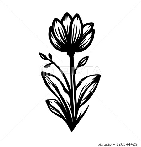 Elegant botanical sketch showcasing stylized flower with detailed linework 126544429