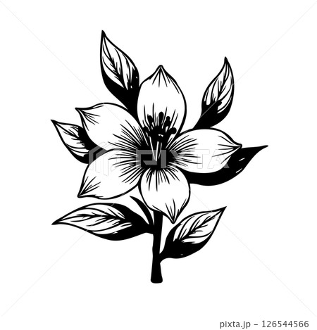 Elegant floral vector illustration featuring a blooming flower and leaves 126544566