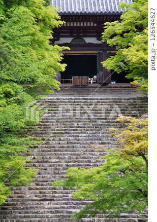 京都高雄にある神護寺の緑風の情景 126544627