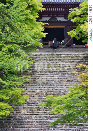 京都高雄にある神護寺の緑風の情景 126544630
