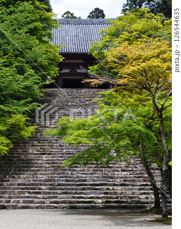 京都高雄にある神護寺の緑風の情景 126544635