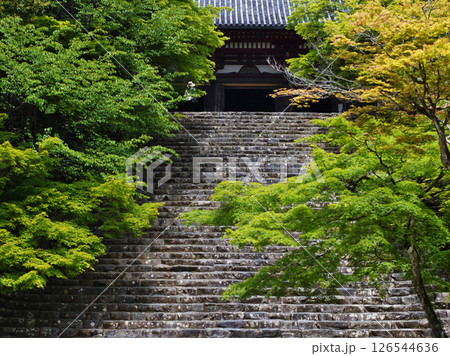 京都高雄にある神護寺の緑風の情景 京都高雄にある神護寺の緑風の情景 126544636