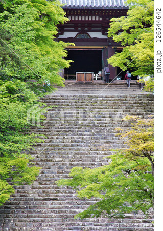 京都高雄にある神護寺の緑風の情景 126544642
