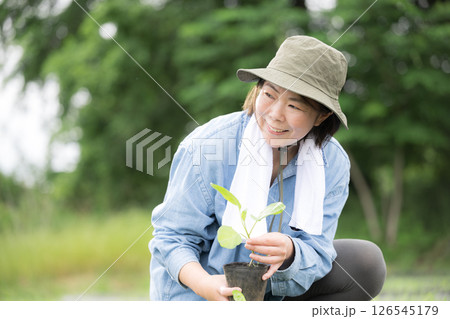 畑でナスの苗植え作業する女性　農家や農業で働くする人のイメージ　 126545179