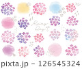 描き水彩風シンプルきれいなあじさいモチーフセット 126545324