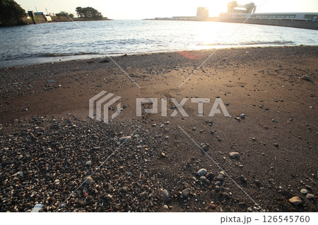 狩野川河口の砂浜に打ち寄せる波 126545760