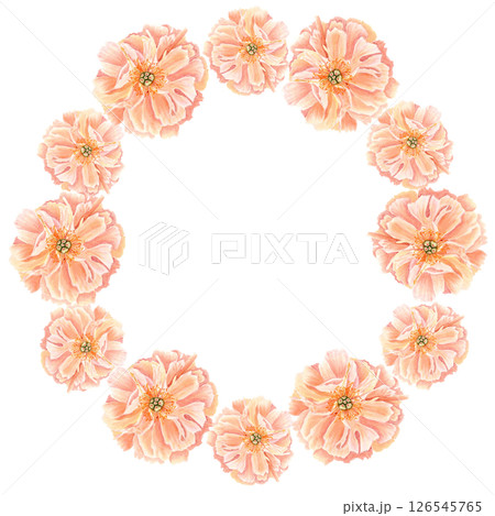 Peony flower head in soft peach tones watercolor round frame. Hand-painted wreath perfect for wedding invitations, feminine branding, packaging, fabric design, stationary and cards. Coral charm color Peony flower head in soft peach tones watercolor round frame. Hand-painted wreath perfect for wedding invitations, feminine branding, packaging, fabric design, stationary and cards. Coral charm color 126545765
