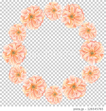 Peony flower head in soft peach tones watercolor round frame. Hand-painted wreath perfect for wedding invitations, feminine branding, packaging, fabric design, stationary and cards. Coral charm color Peony flower head in soft peach tones watercolor round frame. Hand-painted wreath perfect for wedding invitations, feminine branding, packaging, fabric design, stationary and cards. Coral charm color 126545765