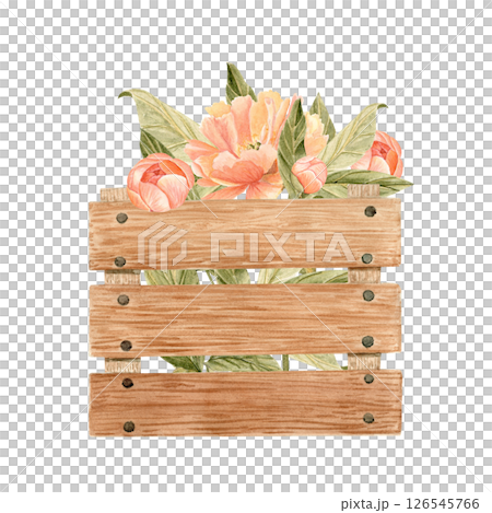 Blooming coral charm peonies in a wooden crate, watercolor composition, perfect for packaging, stationary, labels, cards, branding, stickers, invitations farm market decor. Pastel color. Shabby chic Blooming coral charm peonies in a wooden crate, watercolor composition, perfect for packaging, stationary, labels, cards, branding, stickers, invitations farm market decor. Pastel color. Shabby chic 126545766