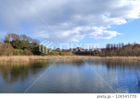神奈川県・三浦市・小松ヶ池公園 神奈川県・三浦市・小松ヶ池公園 126545770