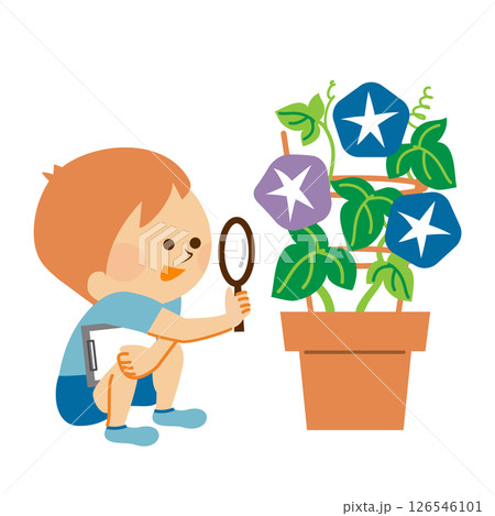 小学生 夏休み 朝顔の観察記録 小学生 夏休み 朝顔の観察記録 126546101