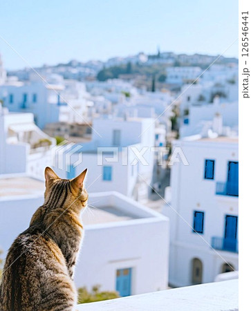 ギリシャの街並みと猫 126546441