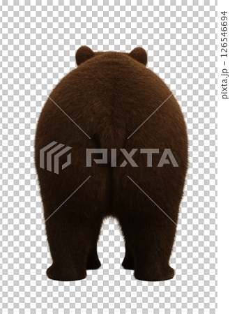 棕熊的背影 126546694