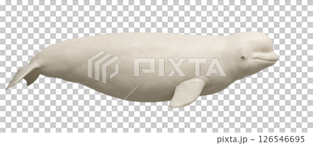 白鯨簡介 126546695