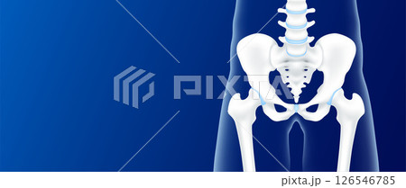 Hip bone and joint cartilage side on blue background with copy space for text. Human skeleton anatomy healthy. Medical health care science concept. Realistic 3D vector. Hip bone and joint cartilage side on blue background with copy space for text. Human skeleton anatomy healthy. Medical health care science concept. Realistic 3D vector. 126546785