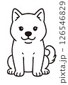 正面を向いてお座りしている紀州犬のイラスト 126546829