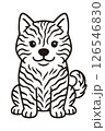 正面を向いてお座りしている甲斐犬のイラスト 126546830