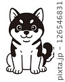 正面を向いてお座りしている四国犬のイラスト 126546831