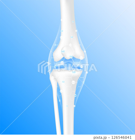 Collagen Vitamins and Calcium magnesium minerals line hexagon connecting surround care bone cartilage knee joint. Healthy human skeleton anatomy isolated on blue background. Realistic 3D vector. 126546841