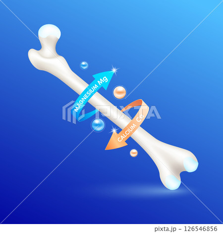 Healthy bone leg with calcium and magnesium circular arrow around. Vitamins minerals logo products template design. Medical food supplement concepts. 3D Realistic Vector EPS10. Healthy bone leg with calcium and magnesium circular arrow around. Vitamins minerals logo products template design. Medical food supplement concepts. 3D Realistic Vector EPS10. 126546856