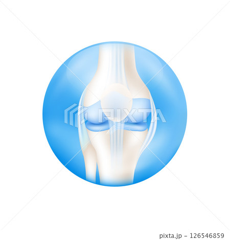 Leg bone knee cartilage human skeleton anatomy inside blue ball. Isolated on white background used for design product supplements. Medical concepts. 3D Vector. Leg bone knee cartilage human skeleton anatomy inside blue ball. Isolated on white background used for design product supplements. Medical concepts. 3D Vector. 126546859