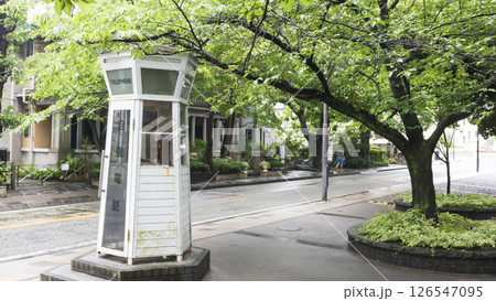 横浜山手西洋館234番館とエノキ亭 126547095