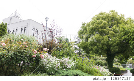 横浜地方気象台 126547137