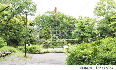 港の見える丘公園の春 港の見える丘公園の春 126547283