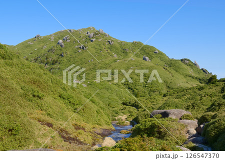 屋久島の翁岳中腹から望む宮之浦岳 126547370