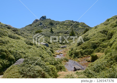 屋久島、北側登山道から望む安房岳 126547376