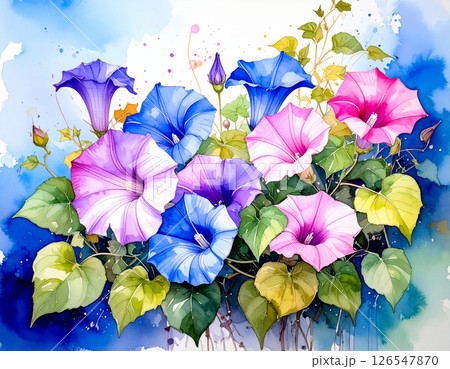 美しい朝顔の水彩風イラスト 126547870