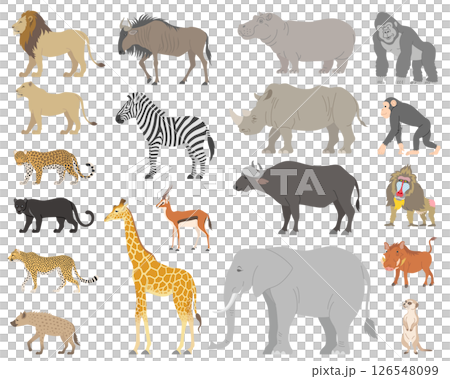 Set of African mammals Set of African mammals 126548099