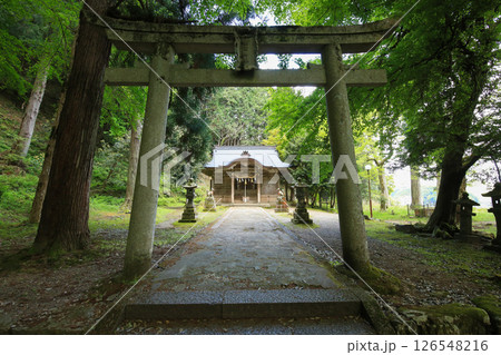 兵庫県勝岡市　有子山稲荷神社　入口 126548216