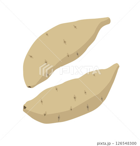 白いさつまいものイラスト 126548300