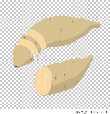 白いさつまいもの切り方イラスト 126548301