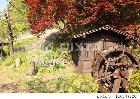 牧水の滝 入口の水車（埼玉県秩父市・羊山公園） 126548520