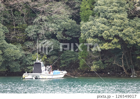 静かな入り江に係留されている船 126549017