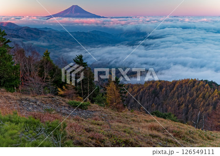 大菩薩嶺から見る朝焼けの富士山 126549111