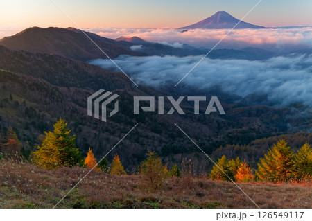 大菩薩嶺から見る朝焼けの富士山 126549117