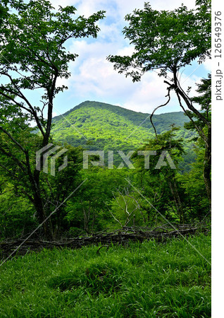 丹沢山地の高指山より　夏の大岩を眺める 126549376