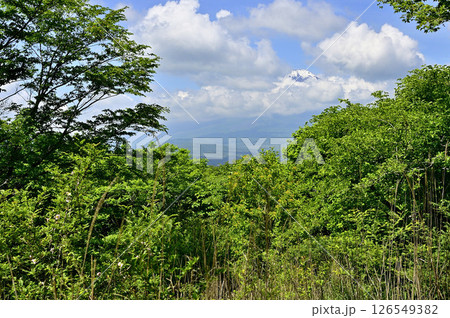 丹沢山地の高指山より　雲間の富士山 126549382
