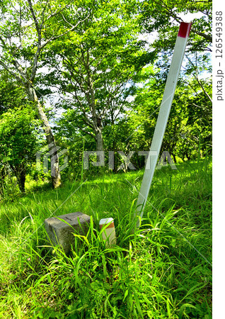 丹沢山地の高指山山頂 三等三角点(中野村(六)) 丹沢山地の高指山山頂 三等三角点(中野村(六)) 126549388