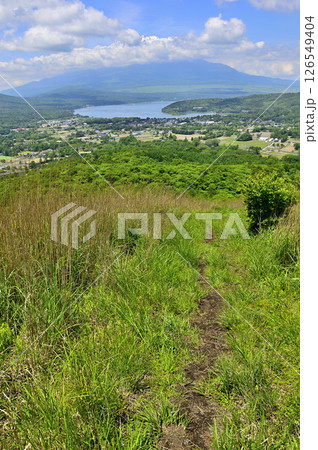 夏の丹沢山地　高指山の草地より望む富士山と山中湖 126549404