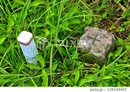 丹沢の鉄砲木ノ頭（明神山）山頂の三角点　三等三角点（中野村（二）） 126549497