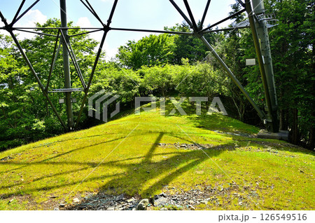 丹沢の火燃峰 山地に立つ送電鉄塔の広場 サンショウバラ 丹沢の火燃峰 山地に立つ送電鉄塔の広場 サンショウバラ 126549516
